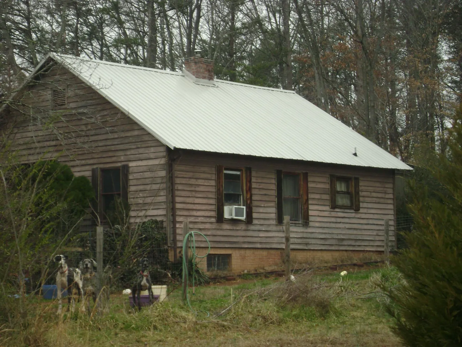 White metal roof on an old wood sided farmhouse, from a Metal Roof Installation job in Mesa